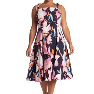 Rachel Roy Sleeveless Dove Combo Fit and Flare Floral Dress- 16